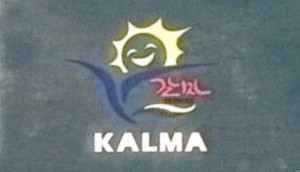 Wonsan-Kalma-airport-logo