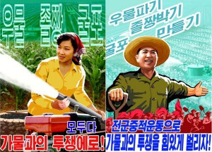 KCNA-2015-6-3-Drought-posters